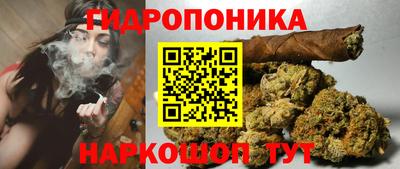 ешки Гусь-Хрустальный