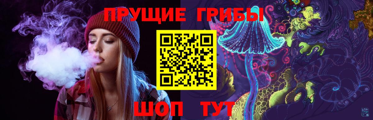 Кимры  Галлюциногенные грибы Psilocybine cubensis  Вход с VPN  Псилоцибиновые грибы MAGIC MUSHROOMS 